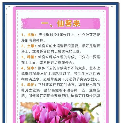 球根植物第二年不复花的解决方法是什么？