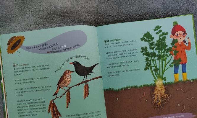 时光播种种子的含义是什么？