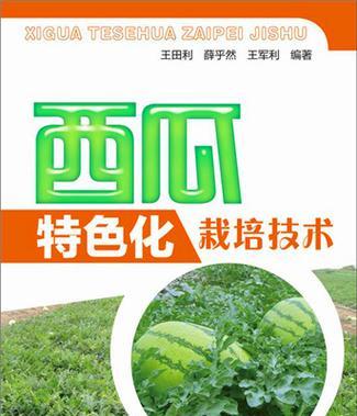 西瓜地沟栽培的关键技术要点是什么？如何进行西瓜地沟栽培？