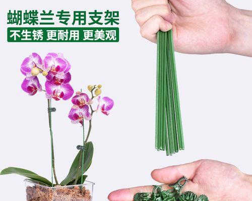 阳台花板支架的正确名称是什么？如何选择合适的支架？