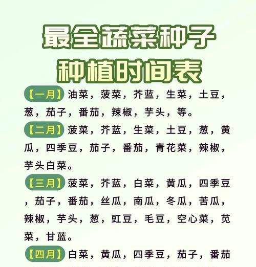 露天白菜的最佳播种时间是什么时候？