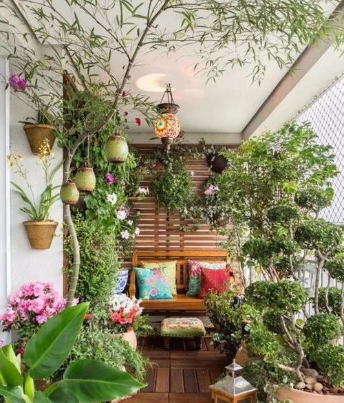 苏州室内阳台适合种植哪些花卉？阳台花卉养护要点有哪些？