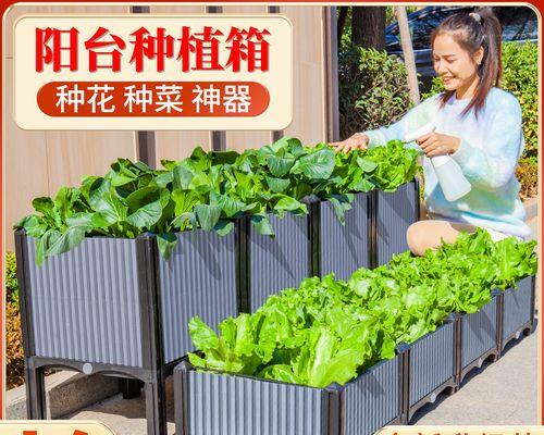 星系叶子发黄的解决策略是什么？