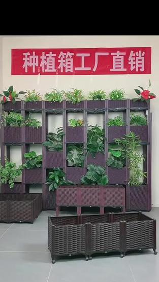 星系叶子发黄的解决策略是什么？