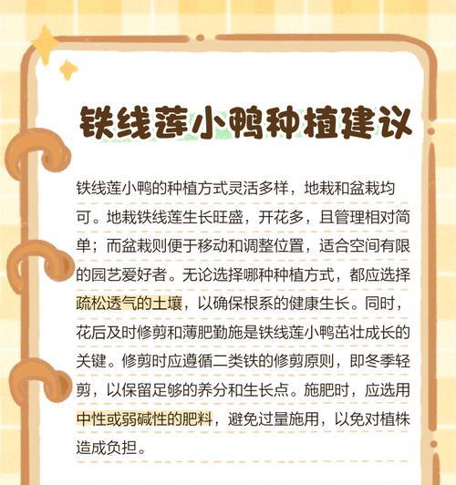 铁线莲小鸭夏季修剪技巧有哪些？