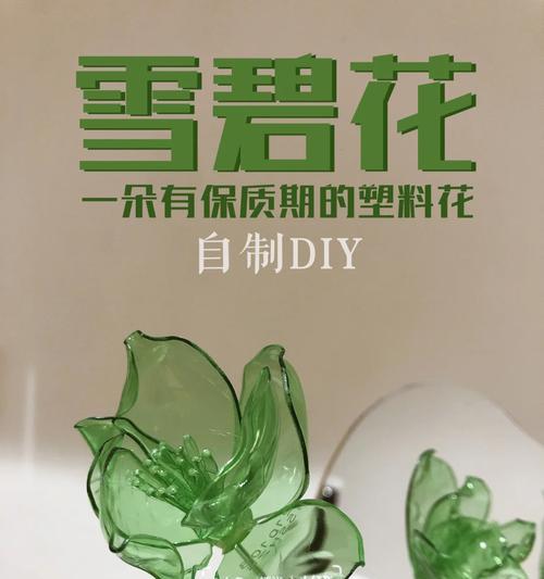 盆景废料盒选择标准是什么？