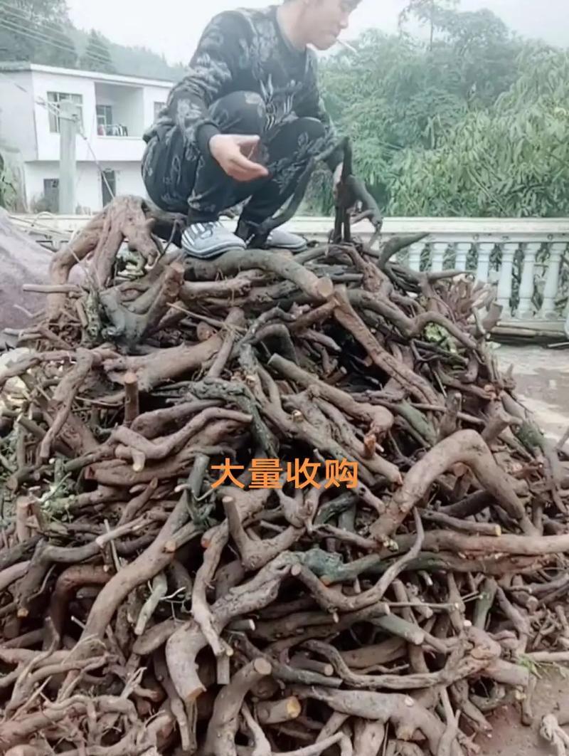 盆景废料盒选择标准是什么？