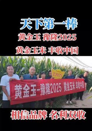 2025年吉林玉米的最佳播种时间是什么时候？
