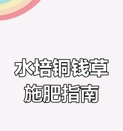 水培施肥小技巧有哪些？如何进行正确的施肥？