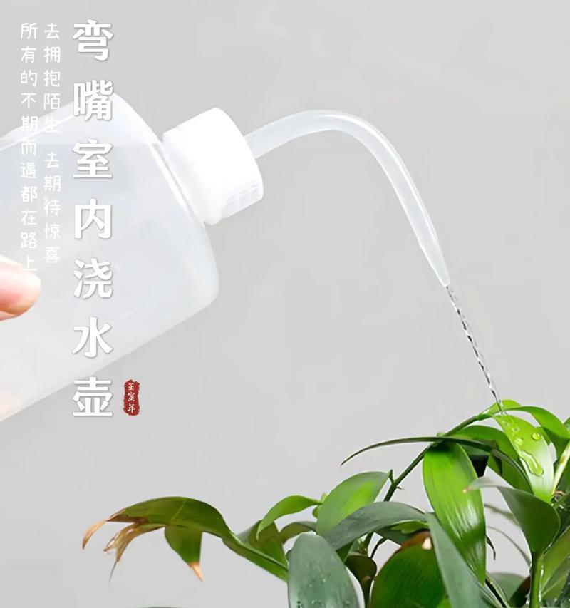 手动浇水最方便的方法是什么？如何高效进行手动浇水？