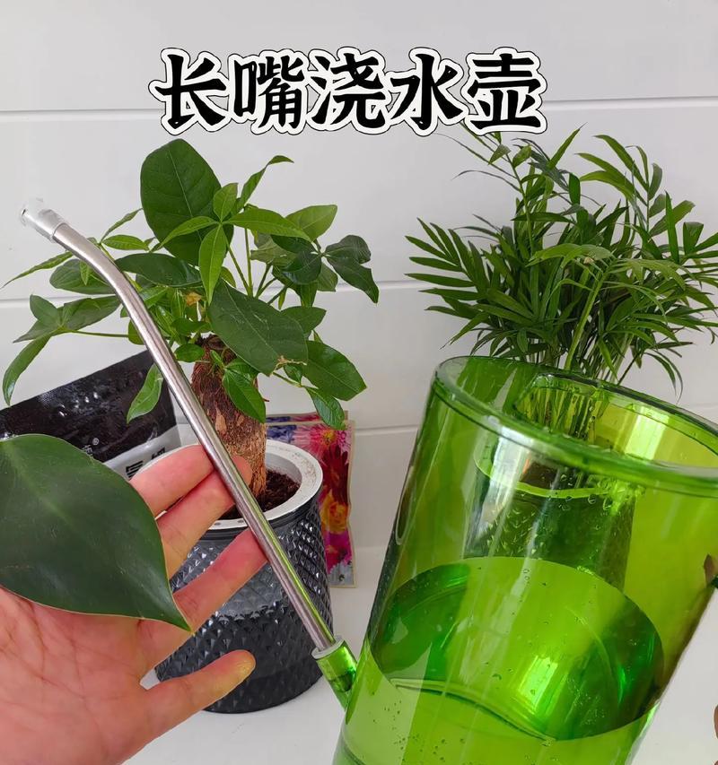 手动浇水最方便的方法是什么？如何高效进行手动浇水？