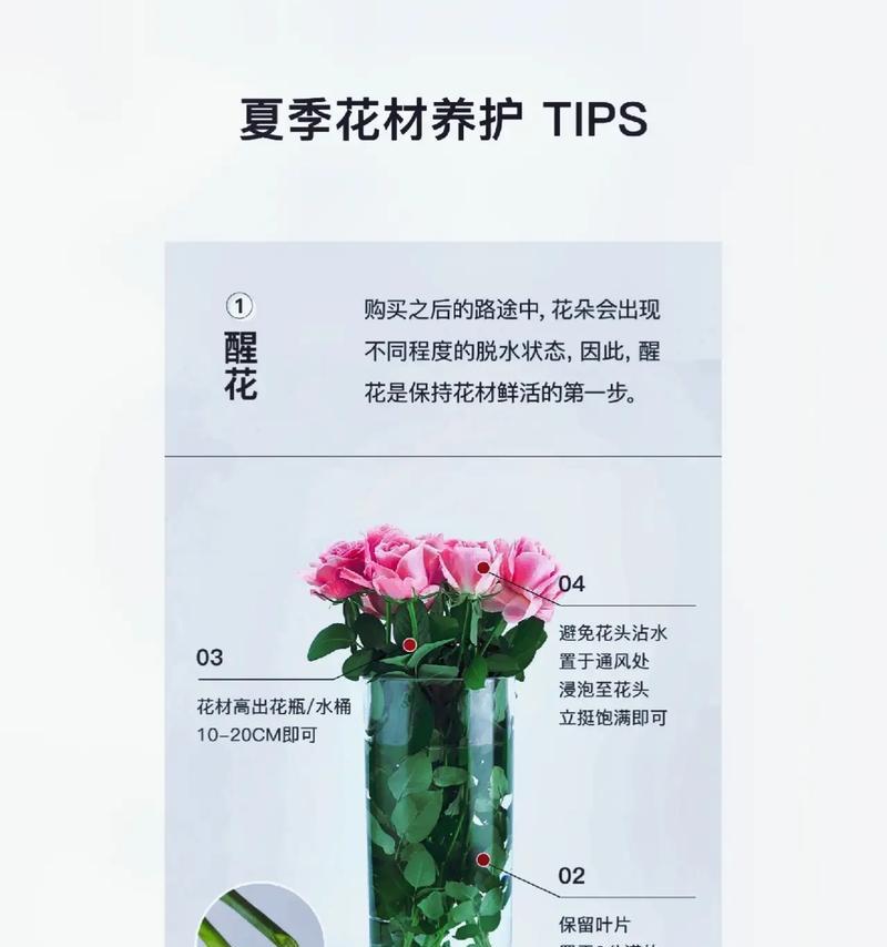 有哪些万能的养花技巧和方法？