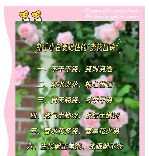 有哪些万能的养花技巧和方法？