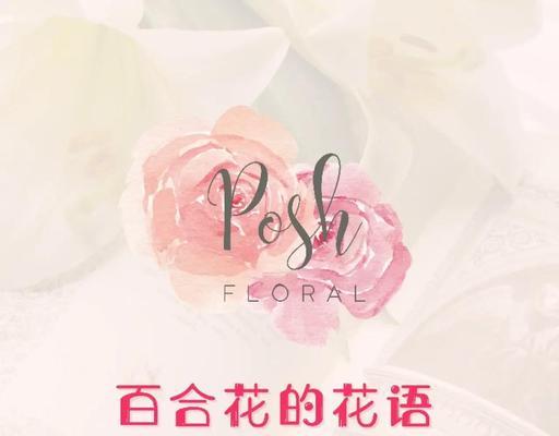 哪些花的花语和寓意与回忆相关？它们各自代表什么？