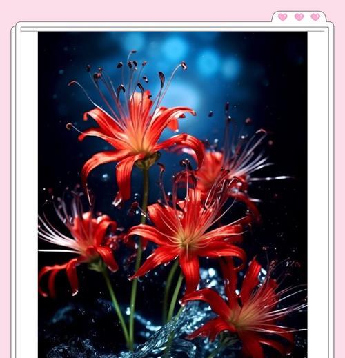 哪些花的花语和寓意与回忆相关？它们各自代表什么？