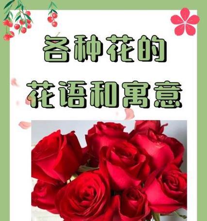 哪些花的花语和寓意与回忆相关？它们各自代表什么？