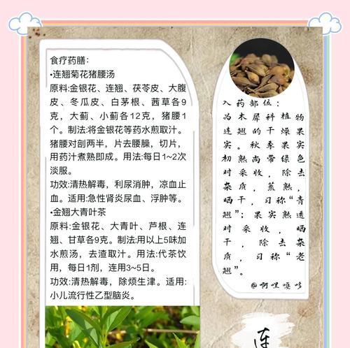 连翘花的花语信息是什么？它传递了哪些情感？