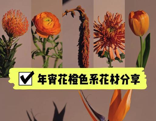 常见花材的象征寓意是什么？它们各自代表什么意义？