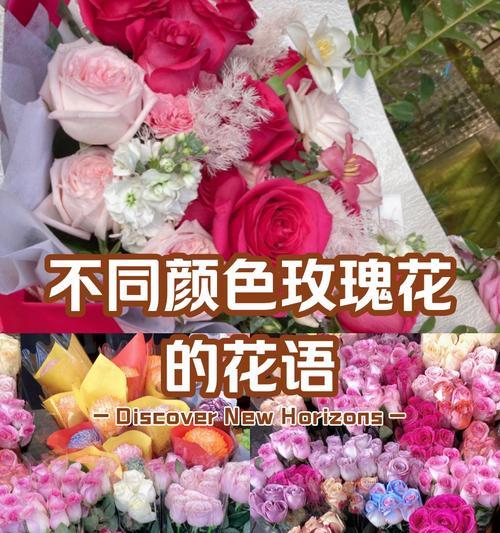 花语解读：不同颜色花朵的含义及其象征意义是什么？