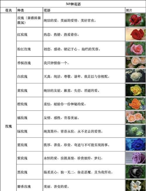 花语解读：不同颜色花朵的含义及其象征意义是什么？
