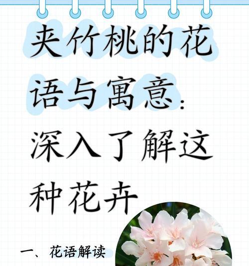 象征黎明的花语有哪些？这些花卉如何迎接新的一天？