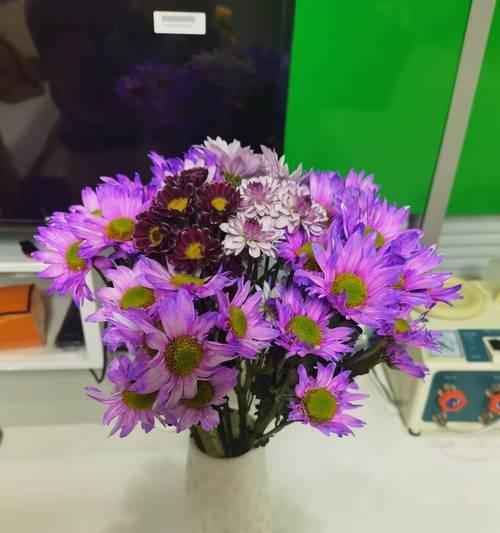 象征黎明的花语有哪些？这些花卉如何迎接新的一天？