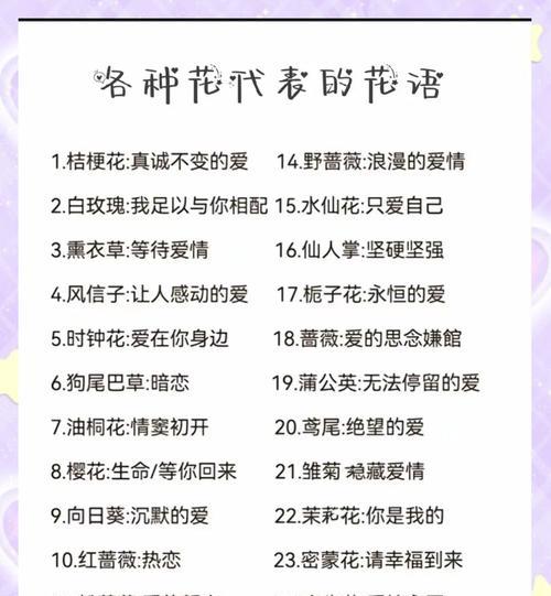 纯爱长久的花有哪些？它们各自象征着什么？