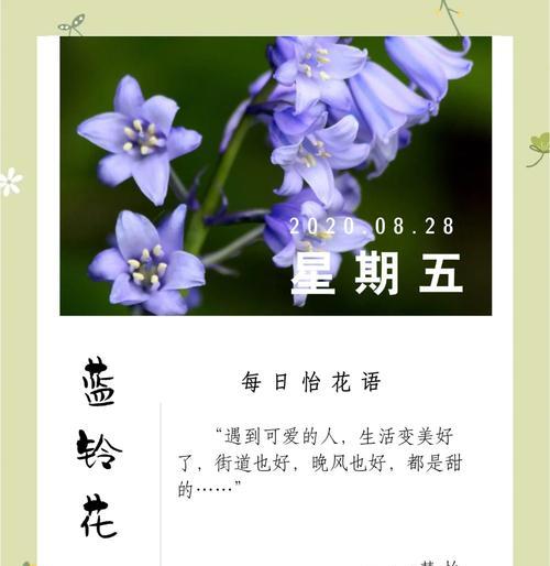 花语中包含的多样含义有哪些？花的寓意有哪些？