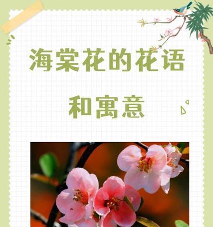 花语中包含的多样含义有哪些？花的寓意有哪些？