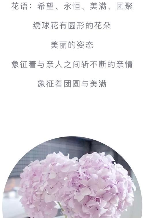 表达爱意的花朵有哪些？如何用花语表达爱意？