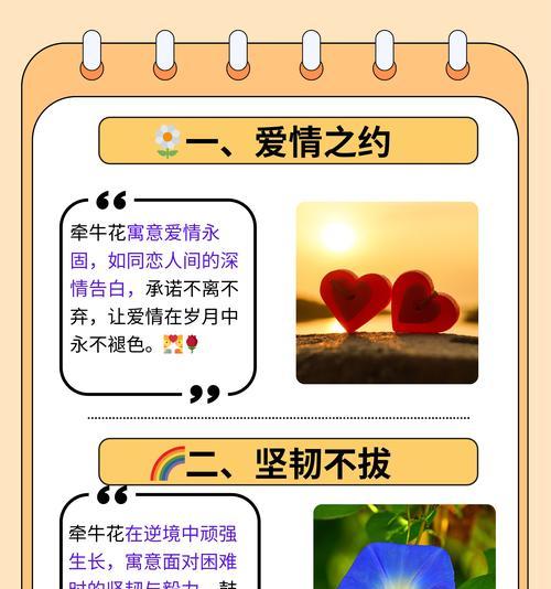 握不住的花背后寓意是什么？