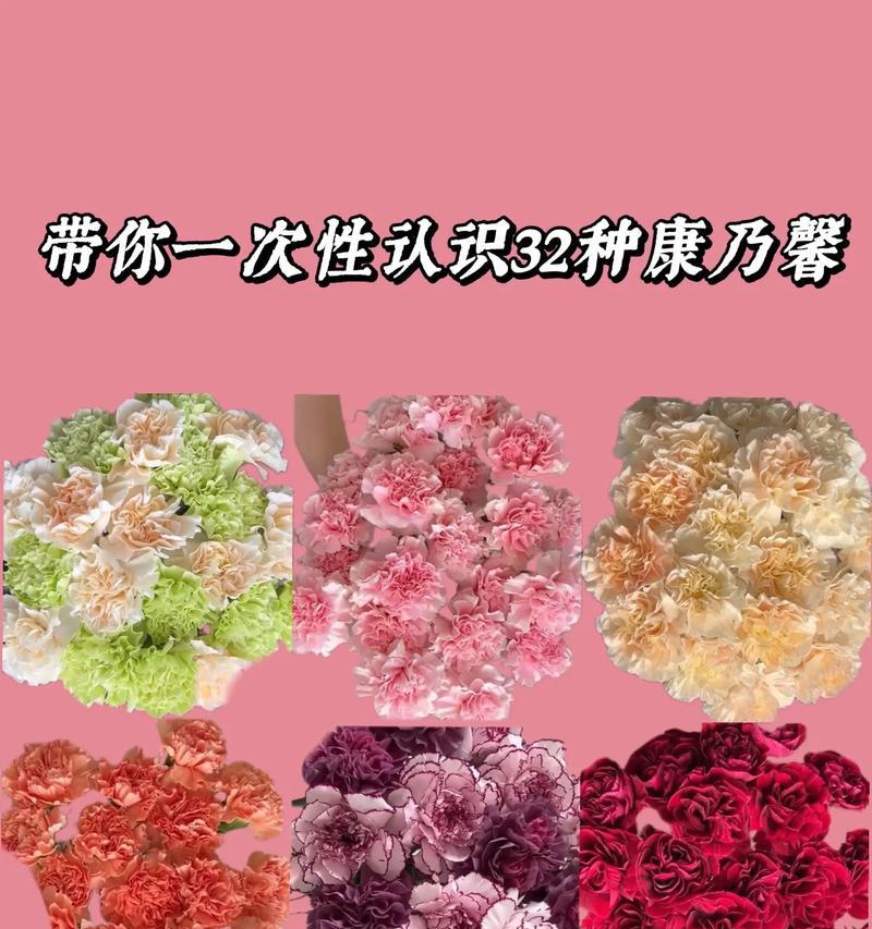10朵康乃馨代表什么？康乃馨的花语和象征意义是什么？