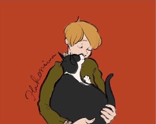 猫少年与花的寓意和特殊联系是什么？