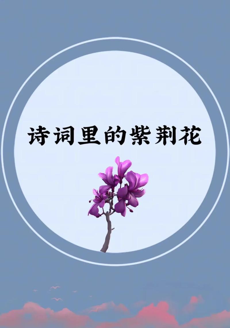 紫荆花真正的含义是什么？紫荆花在传统中的地位如何？