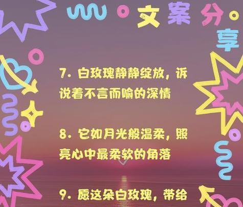白色玫瑰的花语象征和寓意是什么？