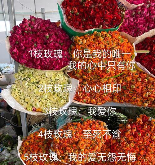 玫瑰花语是什么意思？玫瑰代表了哪些情感？