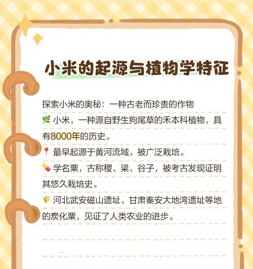 小米花的花语及其象征意义是什么？