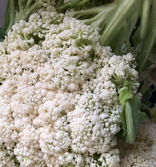 白象花代表什么含义？白象花的象征意义是什么？