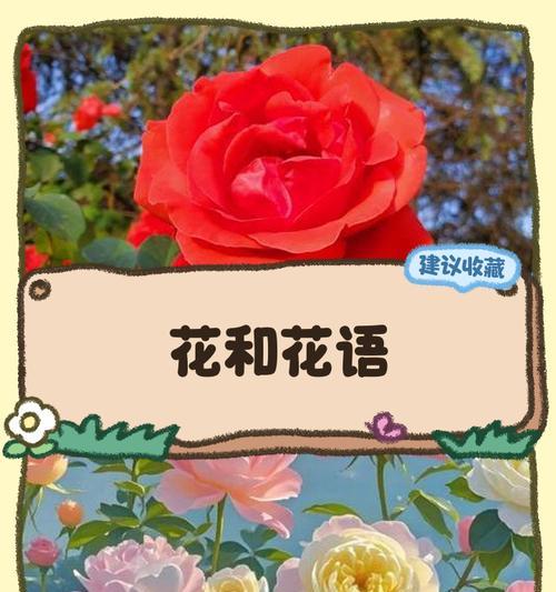 送孩子花的特别含义及其花语是否适合儿童？