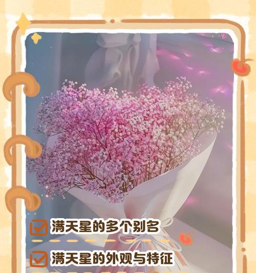 满天星花语代表什么含义？它象征着怎样的情感？