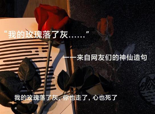 烧毁玫瑰花的含义是什么？为何要烧毁玫瑰花？