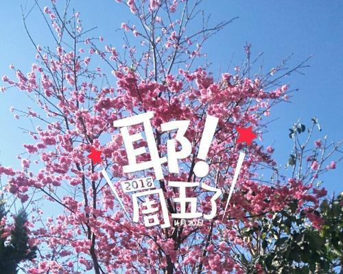 周玉花这个姓名有什么寓意？