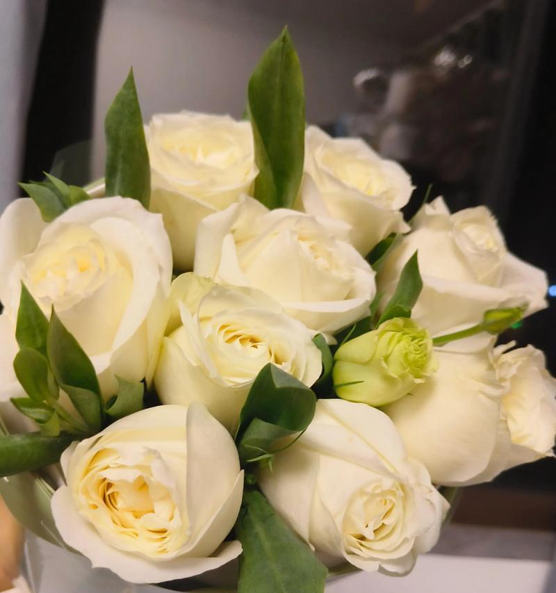 6朵白玫瑰代表什么？6朵白玫瑰的花语是什么？