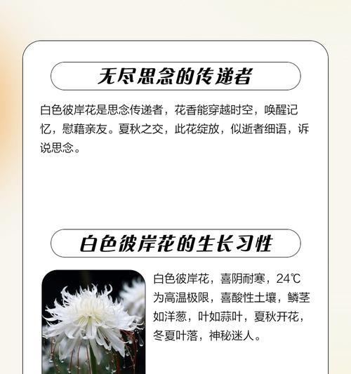 撑花象征着什么？撑花的花语是什么？