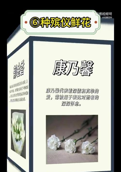 花的具体象征意义有哪些？如何解读这些象征意义？