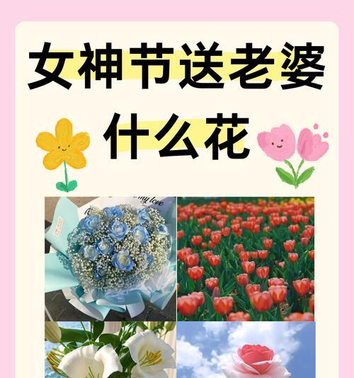 花语能表达哪些情感？