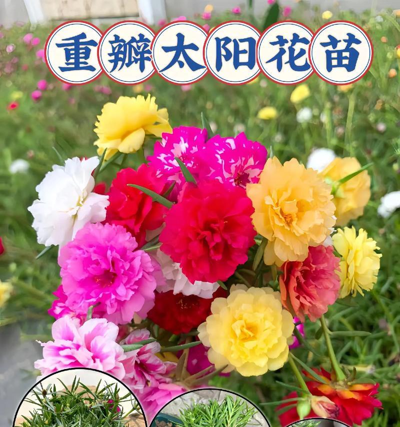 送粉色花的含义是什么？花的含义花语是什么？