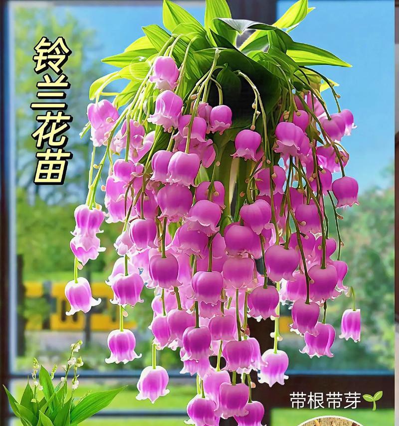 送粉色花的含义是什么？花的含义花语是什么？