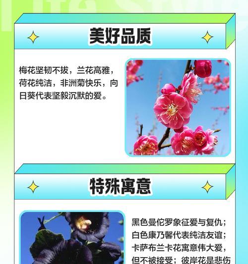 它们代表什么意义？新生的花象征全解析！