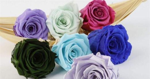 六朵花组合的花语是什么？六朵花代表什么？